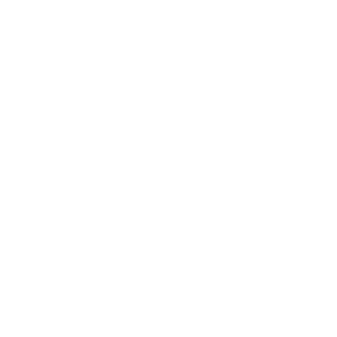 Vila František ubytování Plasy